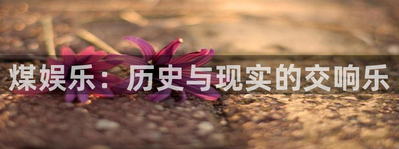 新航娱乐官网登录入口