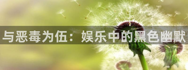 新航娱乐官网登录入口