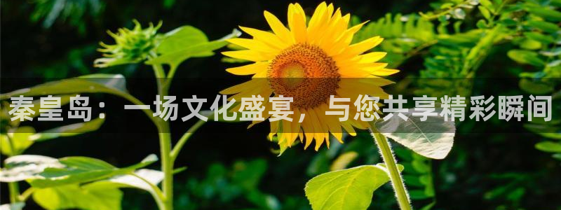 新航娱乐注册