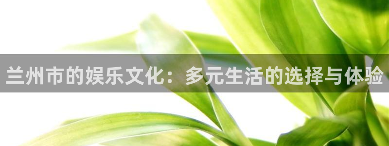 新航娱乐官网登录入口