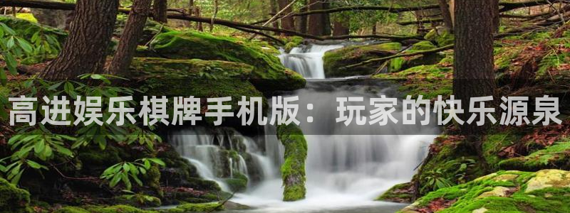 新航娱乐官网